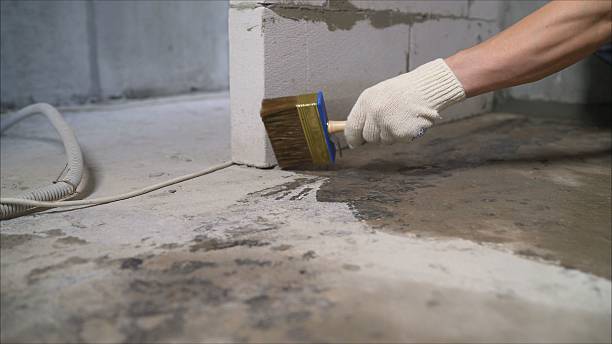 Top rated local Crawl Space Encapsulation specialists in Campbellsburg, KY